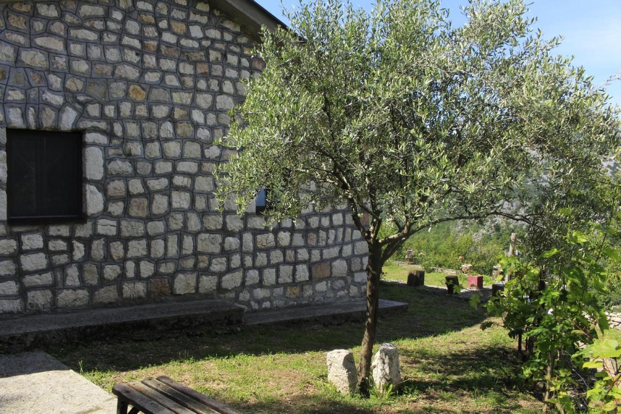 Rent House Orahovo Vila Virpazar Exterior foto